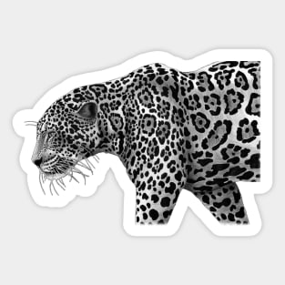 Jaguar Sticker